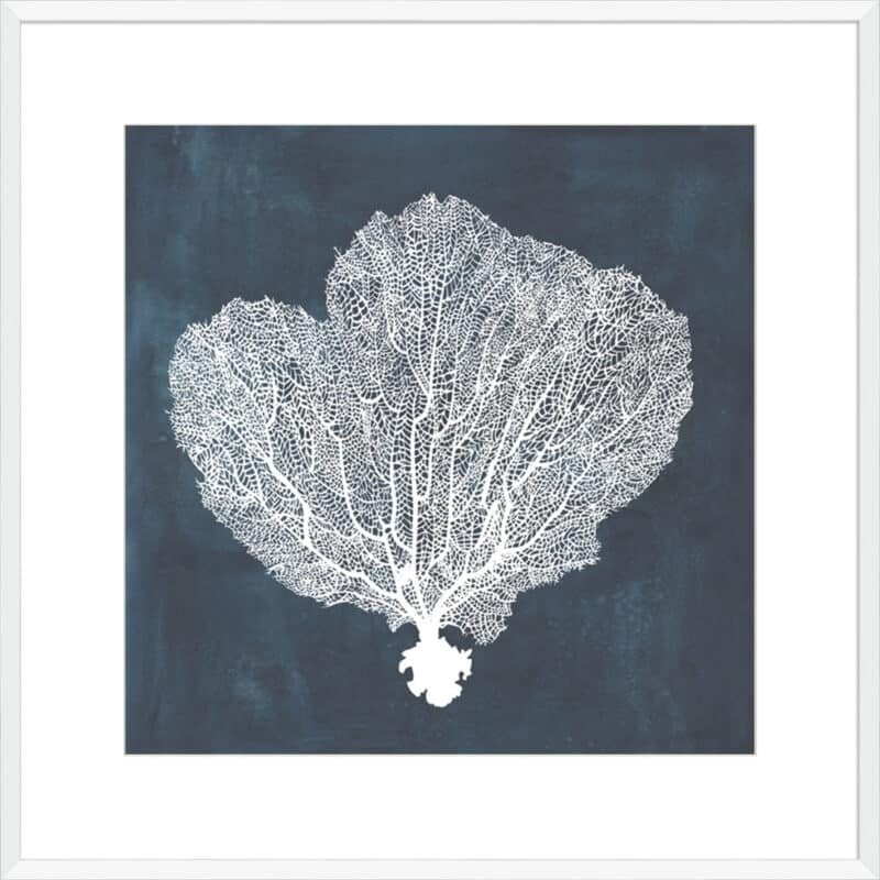 Inverse Sea Fan I - 10cm Mount Board Box White