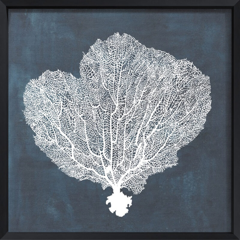 Inverse Sea Fan I - Canvas on Board Black Shelf