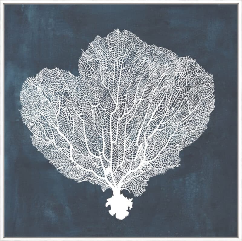 Inverse Sea Fan I - Canvas Gallery White