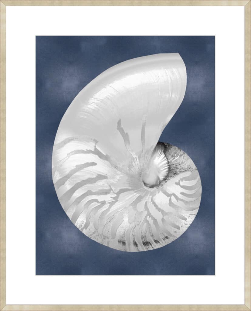 Silver Shell on Indigo Blue II - 10cm Mount Board - La Grolla