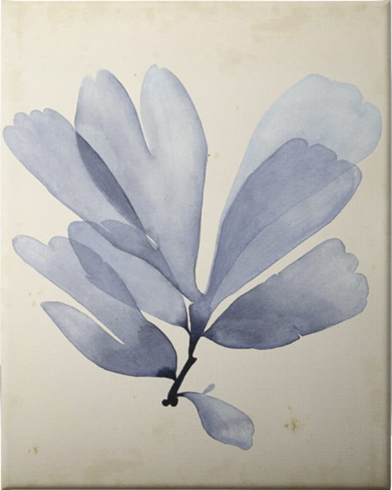 Watercolor Sea Grass II - Unframed Canvas Unframed Canvas