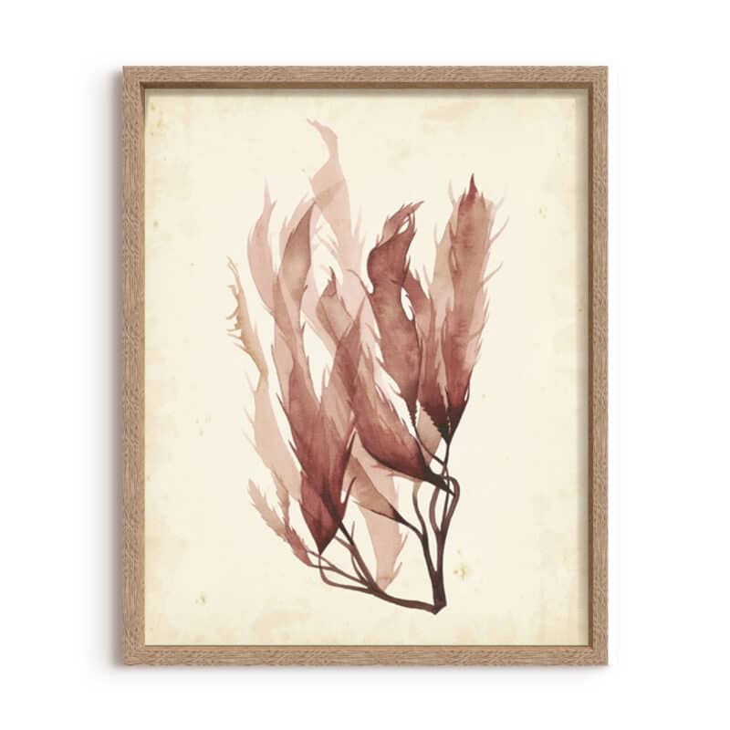 Watercolor Sea Grass IV - Canvas on Board Cashew Oak Shelf