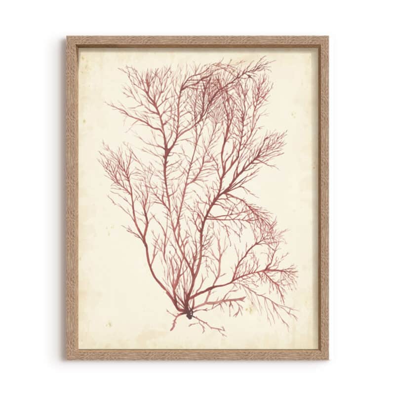 Watercolor Sea Grass I - Canvas on Board Cashew Oak Shelf