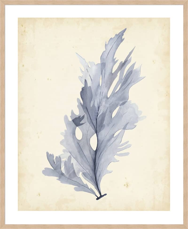 Watercolor Sea Grass VI - 5cm White Border Box Natural