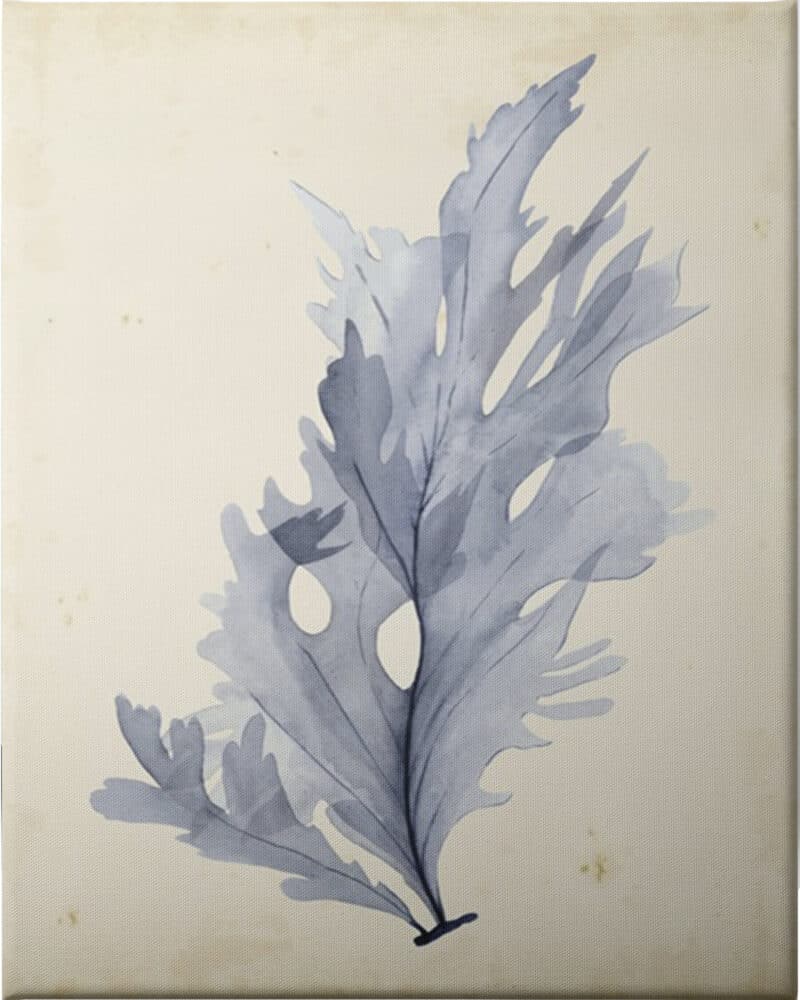 Watercolor Sea Grass VI - Unframed Canvas Unframed Canvas