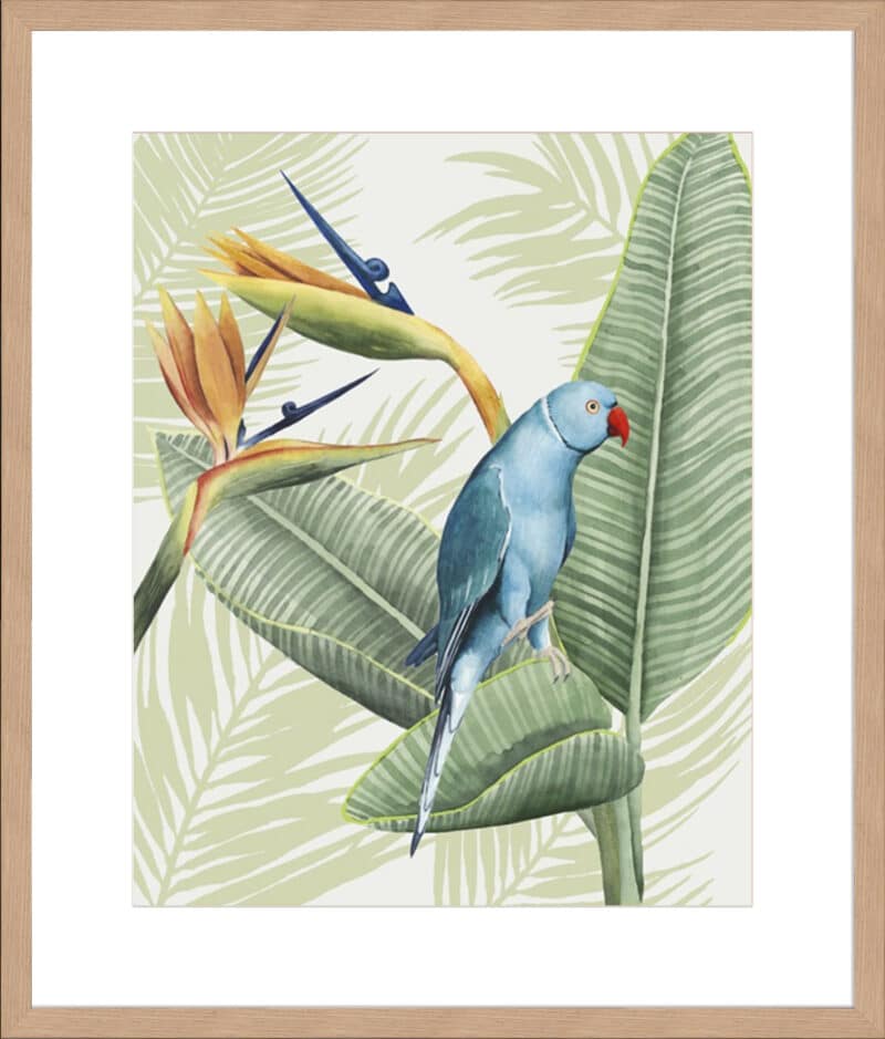 Avian Paradise III - 10cm Mount Board Lg. Box Natural