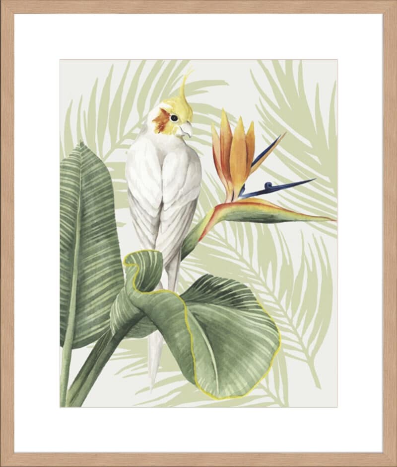 Avian Paradise II - 10cm Mount Board Lg. Box Natural