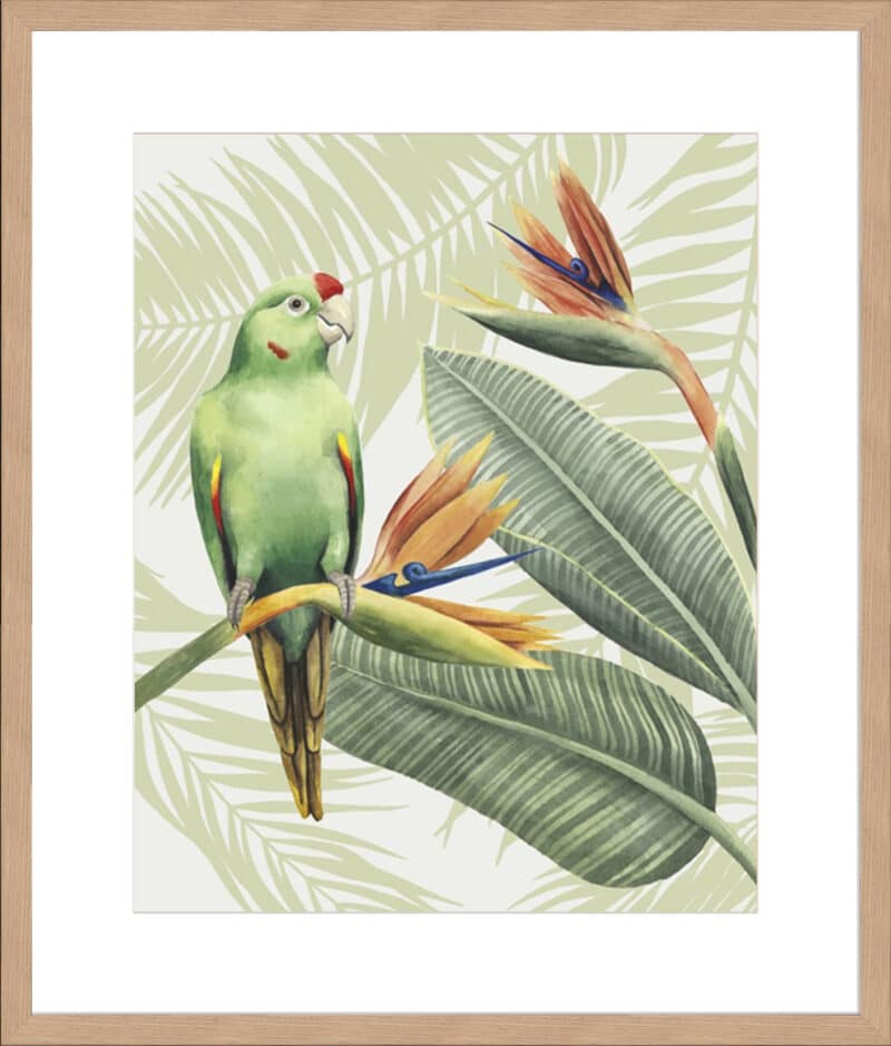 Avian Paradise IV - 10cm Mount Board Lg. Box Natural
