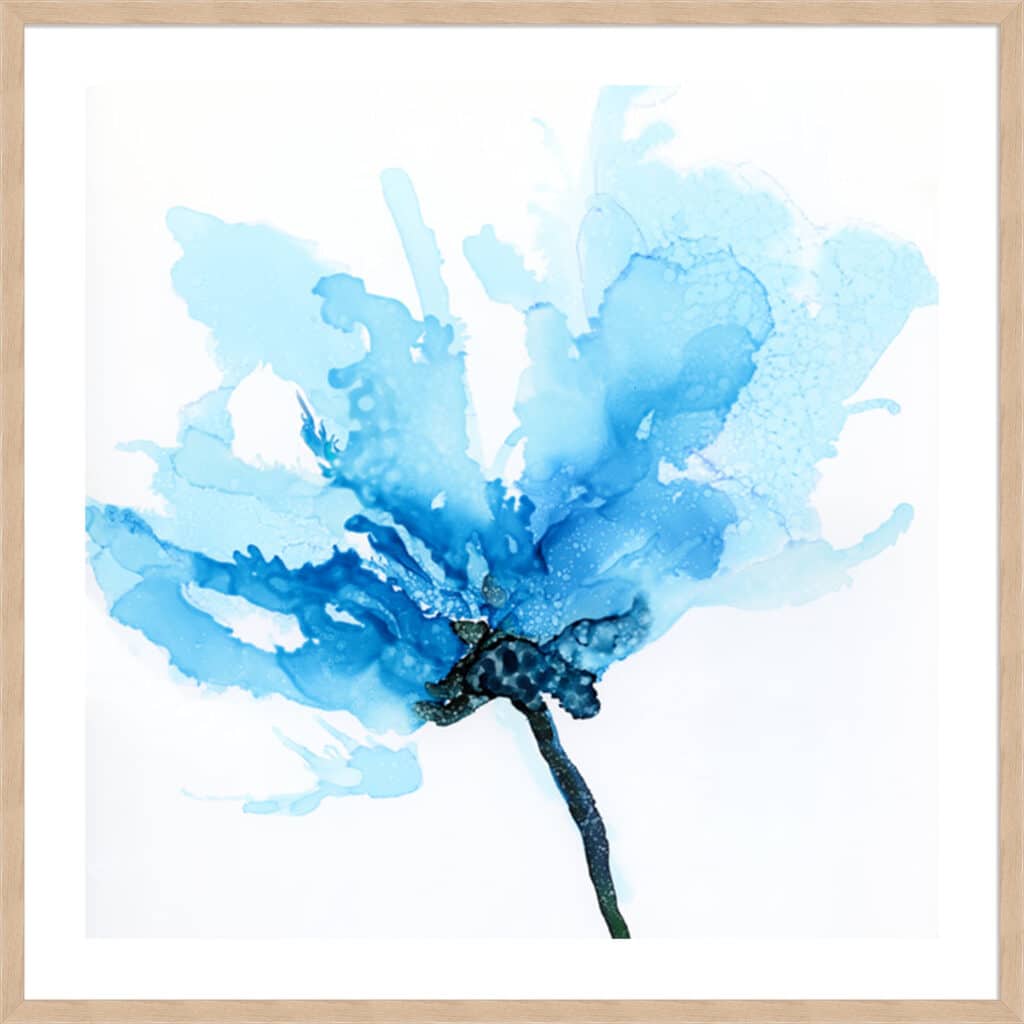 Blue-Poppy-II_B-5-NAT-S-SA-5-