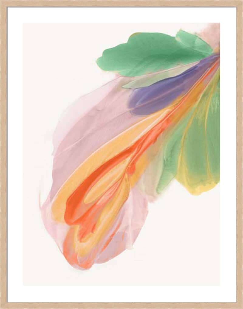 Blushing Feather I - 5cm White Border Box Natural