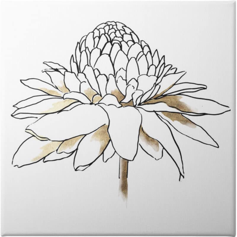 To the Dandelion II - Unframed Canvas Unframed Canvas