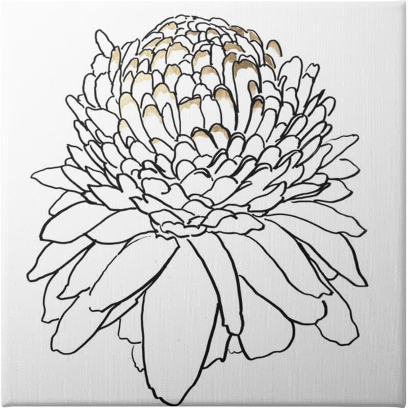 To the Dandelion I - Unframed Canvas Unframed Canvas