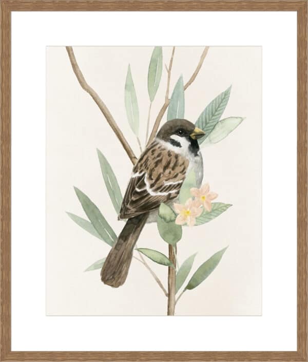 Tree Toppers II - 10cm Mount Board - La Grolla