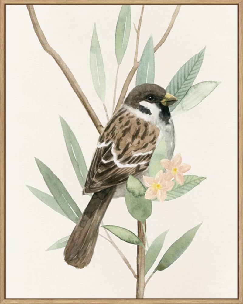 Tree Toppers II - Canvas Gallery Natural