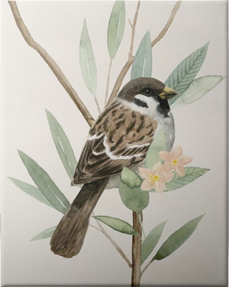 Tree Toppers II - Unframed Canvas Unframed Canvas