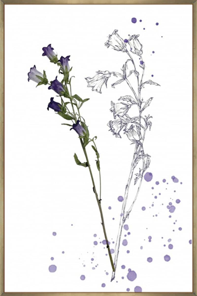 Botany Flower II - Canvas Gallery Champagne