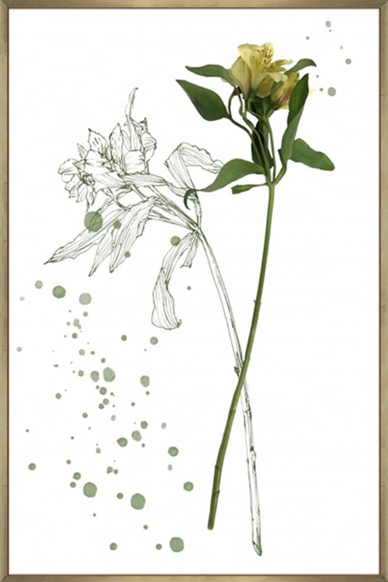 Botany Flower I - Canvas Gallery Champagne