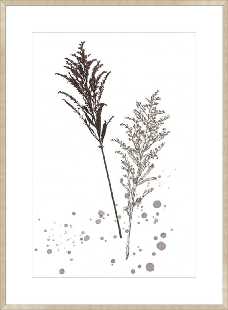 Botany Flower VI - 10cm Mount Board Sm. Box Champagne