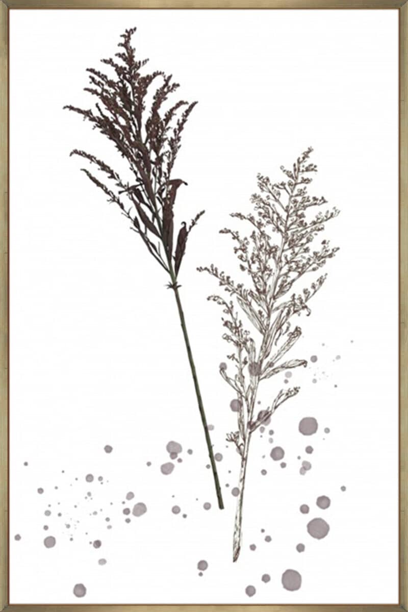 Botany Flower VI - Canvas Gallery Champagne