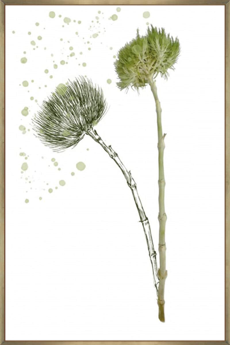 Botany Flower V - Canvas Gallery Champagne