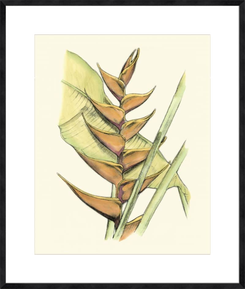 elegant tropics iii   10cm mount board sm. black woodgrain