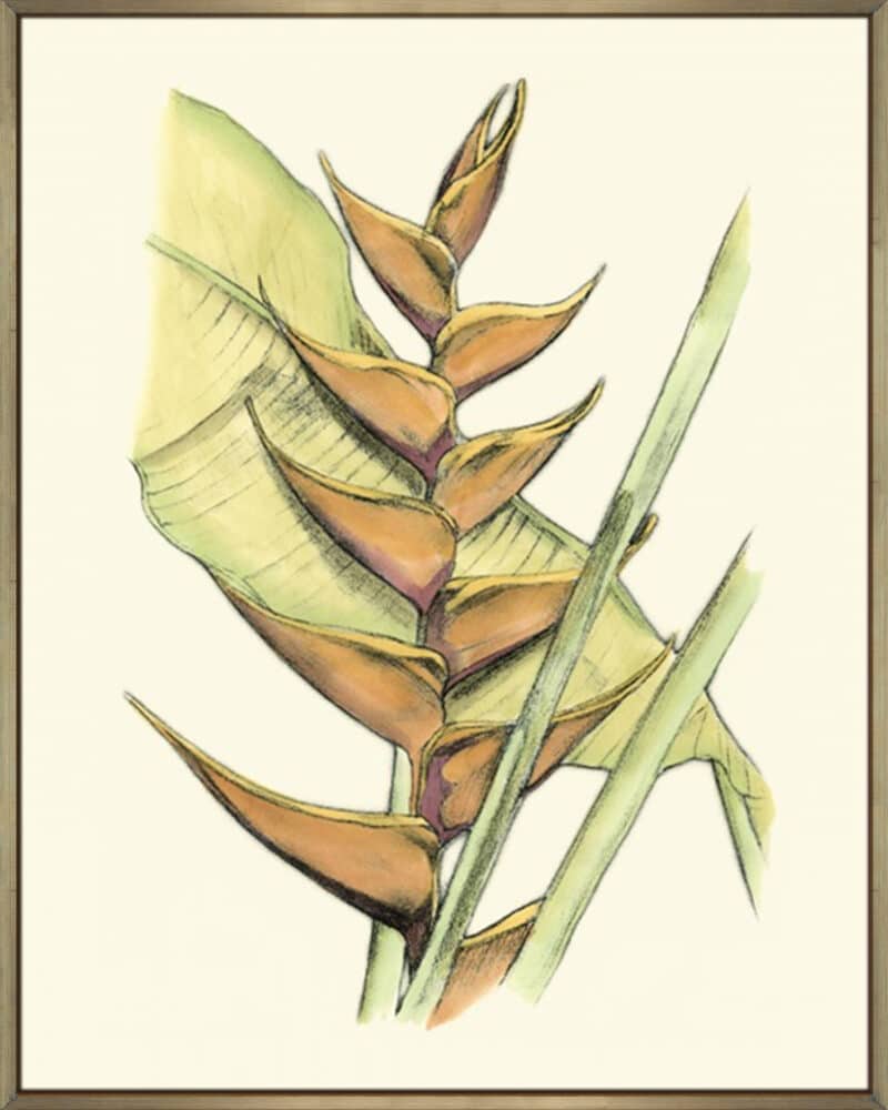 elegant tropics iii   canvas gallery champagne