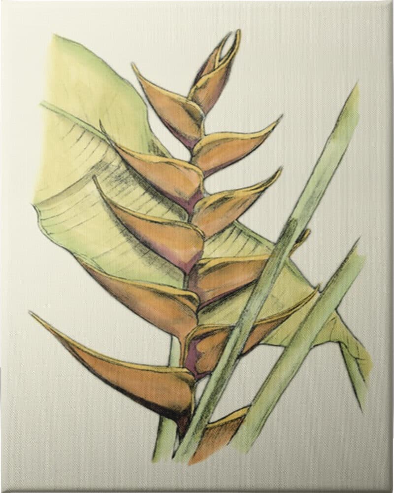 Elegant Tropics III - Unframed Canvas Unframed Canvas
