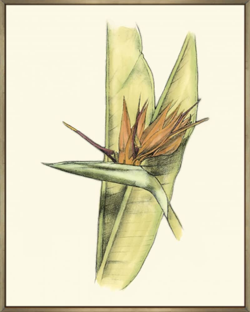 elegant tropics ii   canvas gallery champagne