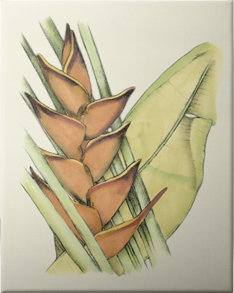 Elegant Tropics IV - Unframed Canvas Unframed Canvas