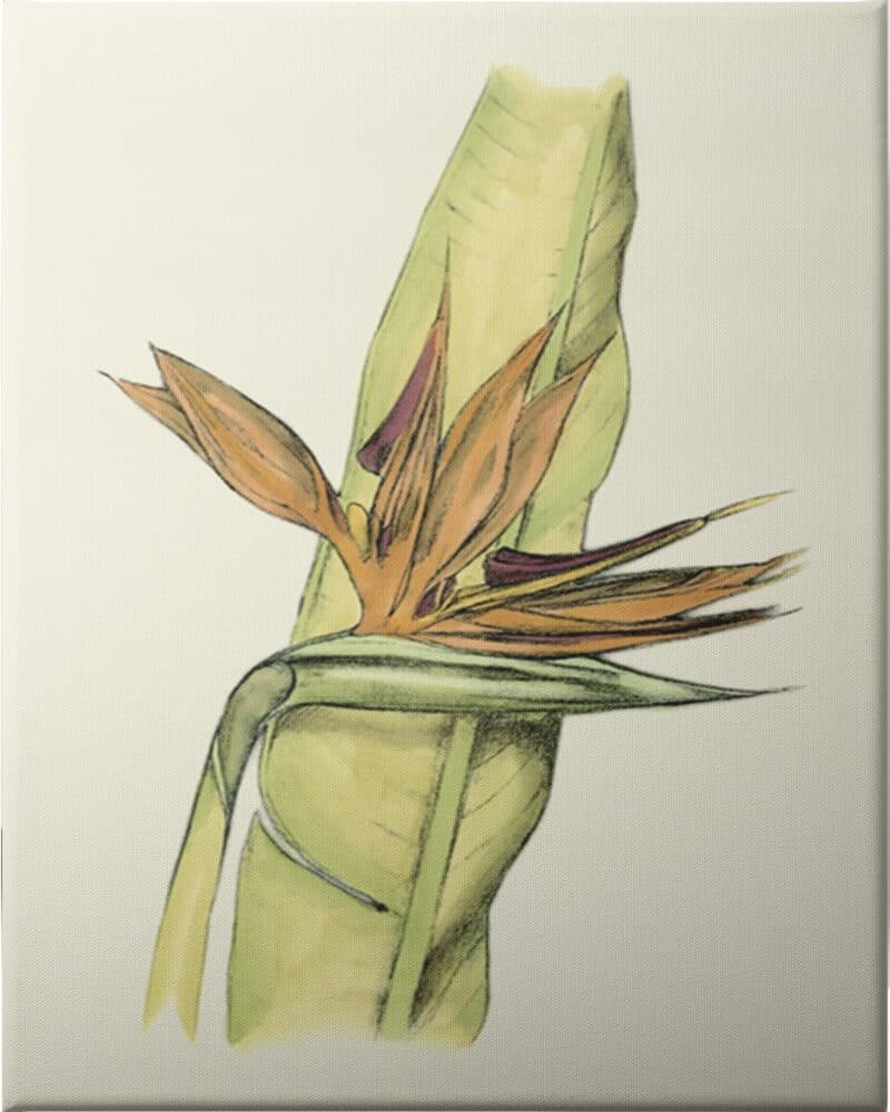 elegant tropics i   unframed canvas unframed canvas