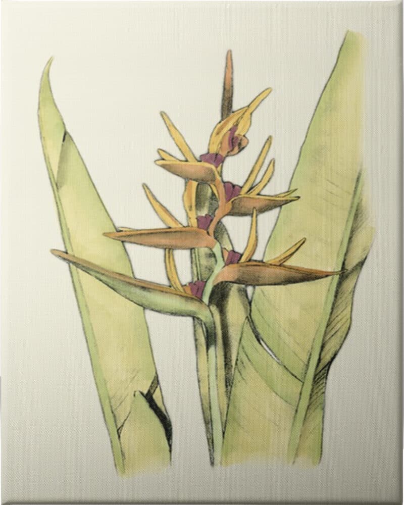 Elegant Tropics VI - Unframed Canvas Unframed Canvas