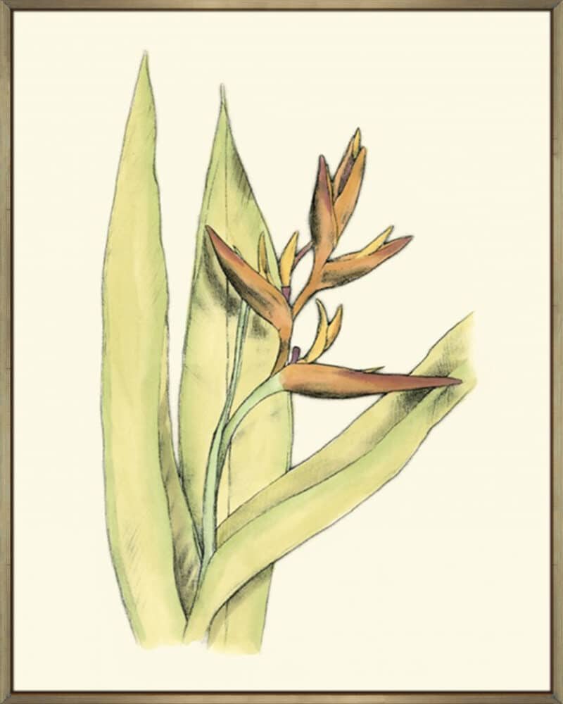 Elegant Tropics V - Canvas Gallery Champagne