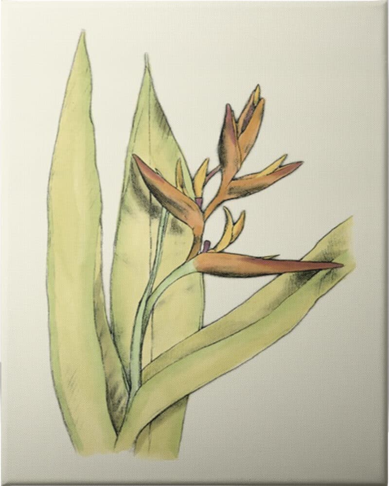 Elegant Tropics V - Unframed Canvas Unframed Canvas