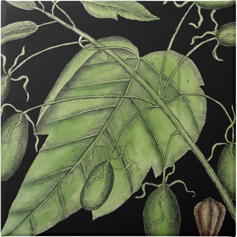 Graphic Botanical Mini XI - Unframed Canvas Unframed Canvas