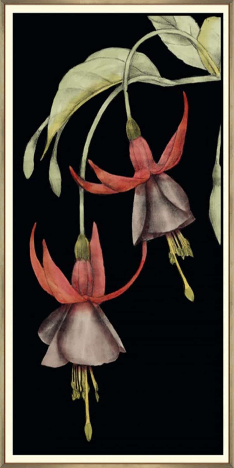 Graphic Fuchsia V - Canvas Gallery Champagne