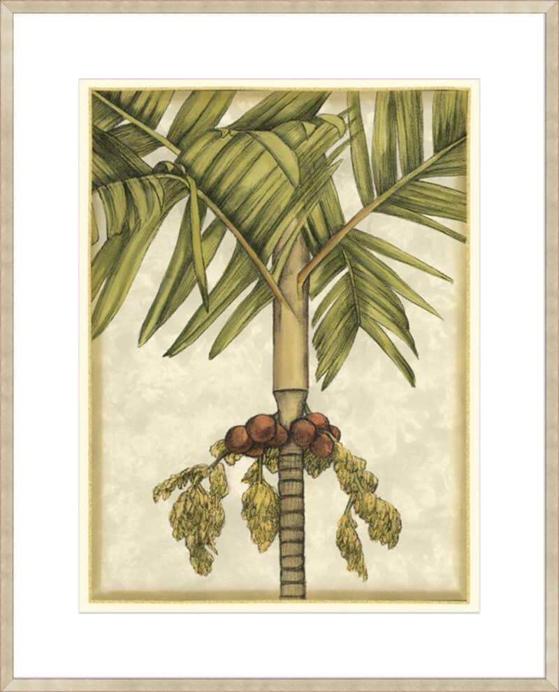 Graphic Palms II - 10cm Mount Board Sm. Box Champagne