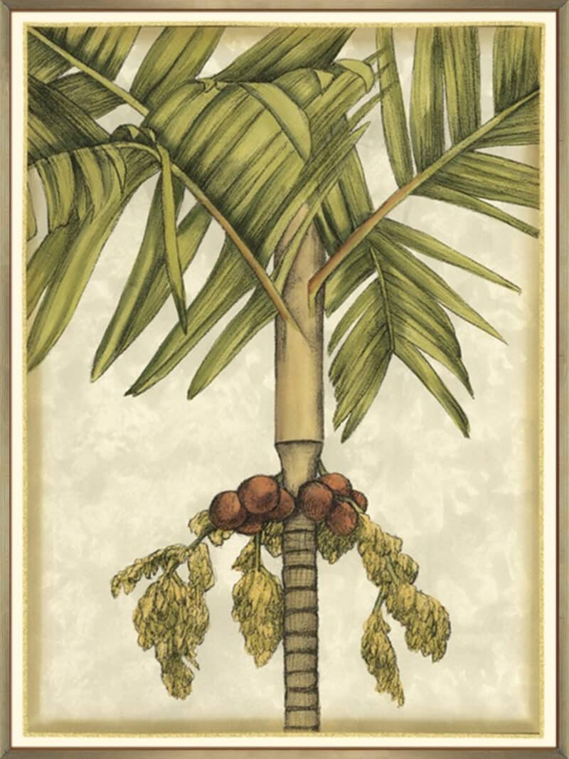 Graphic Palms II - Canvas Gallery Champagne
