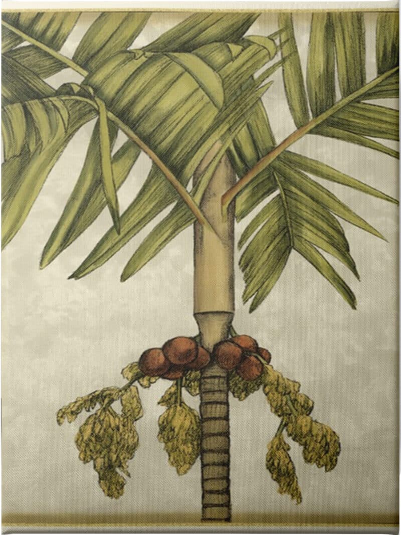 Graphic Palms II - Unframed Canvas Unframed Canvas