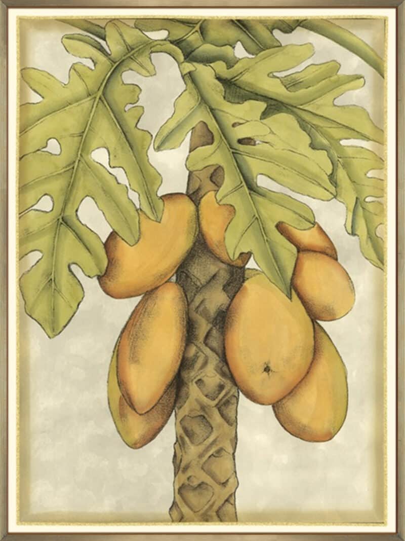 Graphic Palms I - Canvas Gallery Champagne