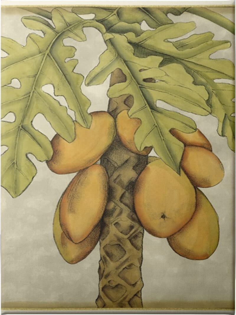 Graphic Palms I - Unframed Canvas Unframed Canvas