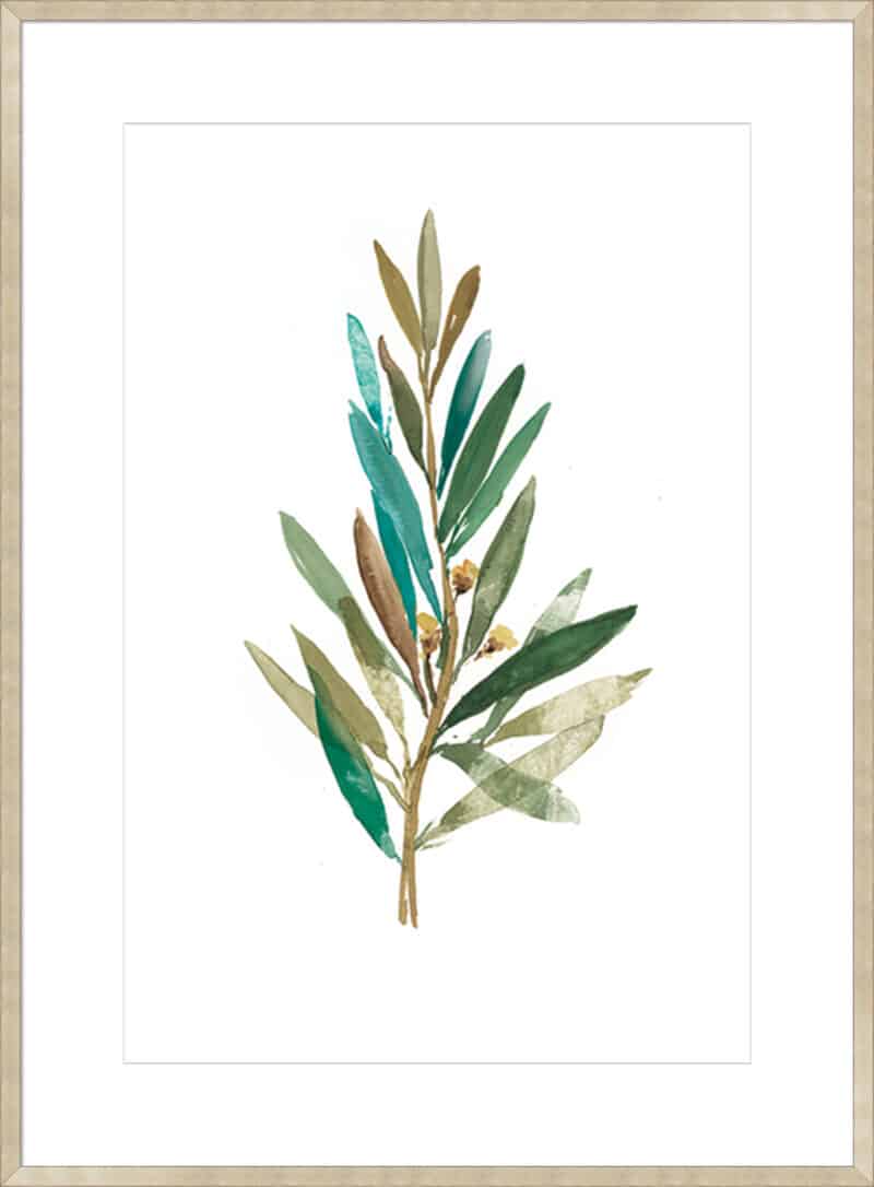 Olive III - 10cm Mount Board Sm. Box Champagne