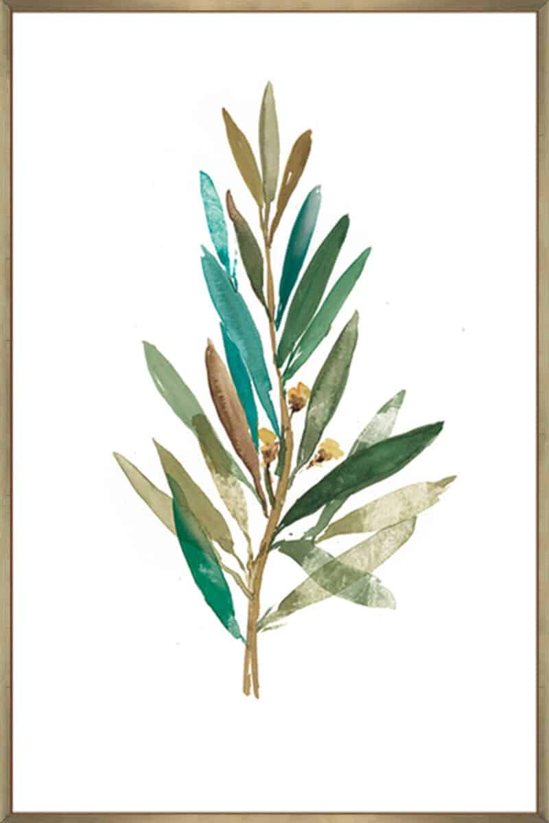 Olive III - Canvas Gallery Champagne