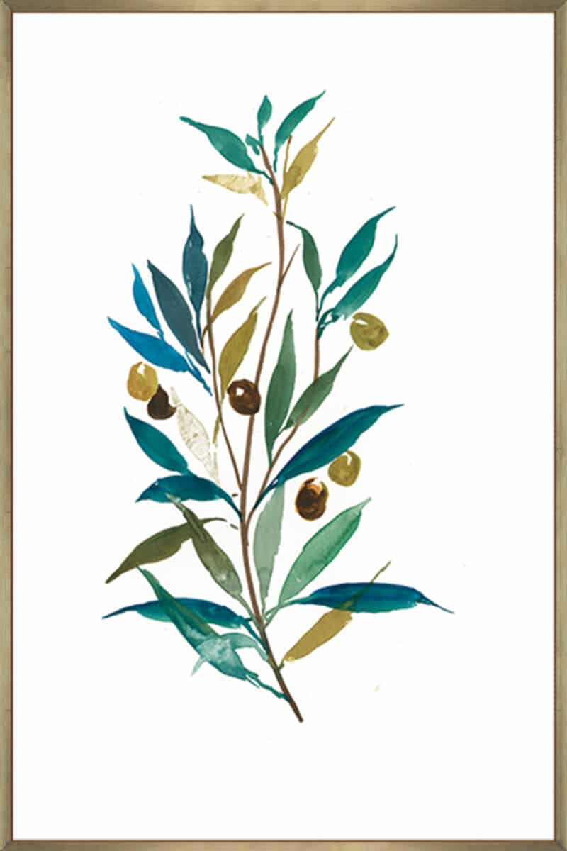 Olive II - Canvas Gallery Champagne