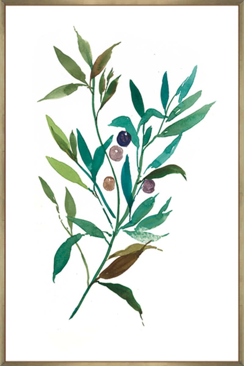 Olive I - Canvas Gallery Champagne