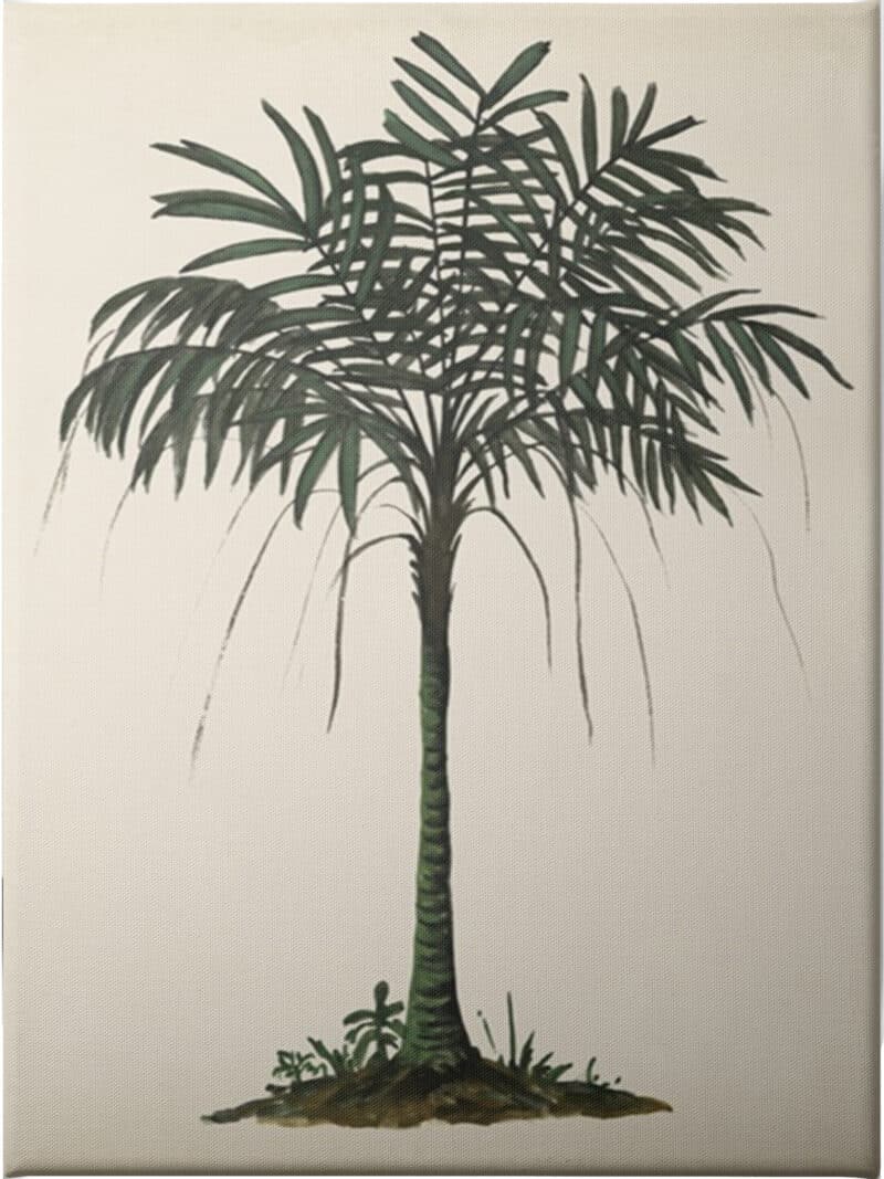 Palm Tree Study II - Unframed Canvas Unframed Canvas