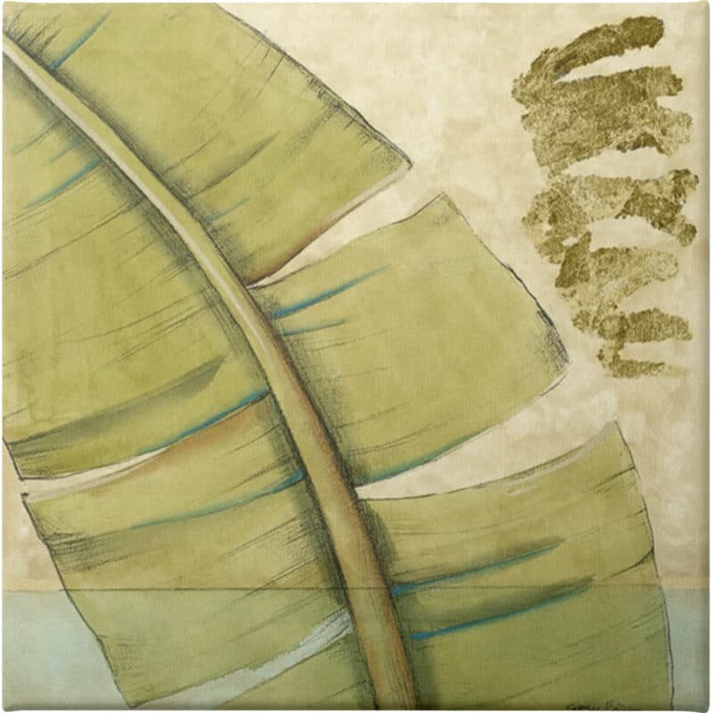 Peacock Palm III - Unframed Canvas Unframed Canvas