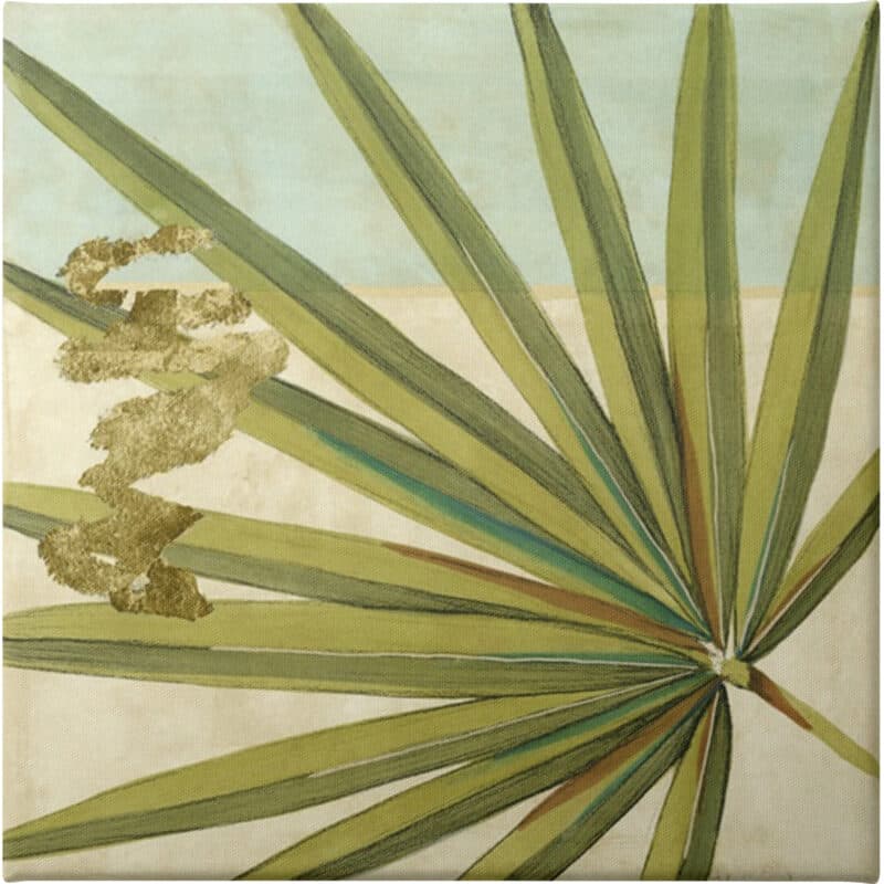 Peacock Palm V - Unframed Canvas Unframed Canvas