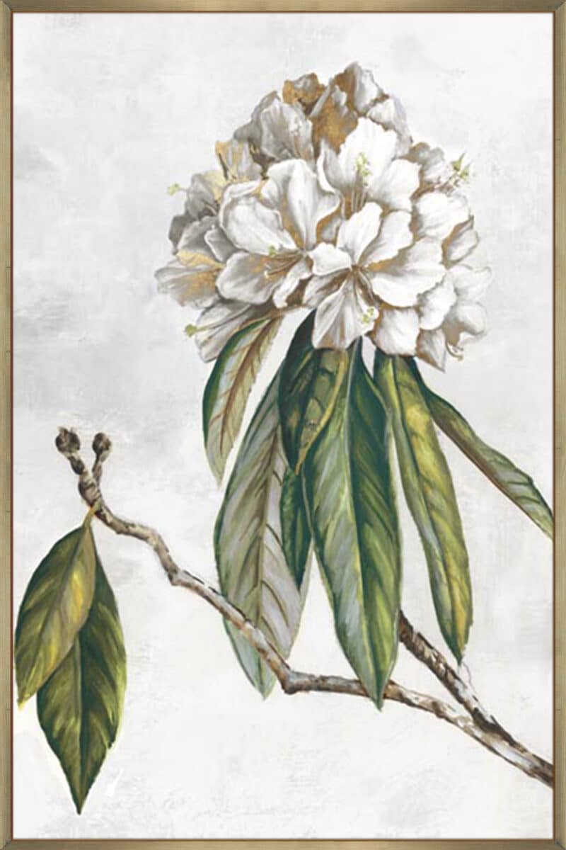 Pearly Beauty II - Canvas Gallery Champagne