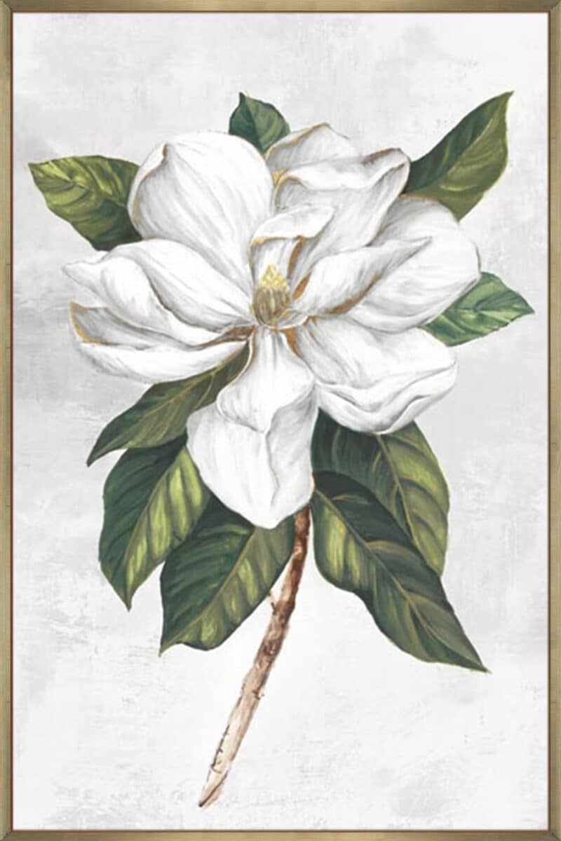 Pearly Beauty I - Canvas Gallery Champagne