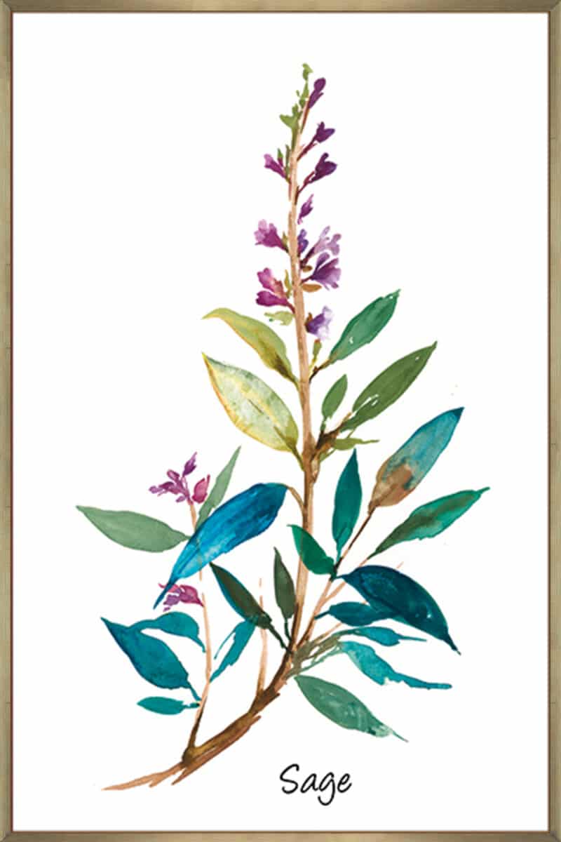 Sage II - Canvas Gallery Champagne